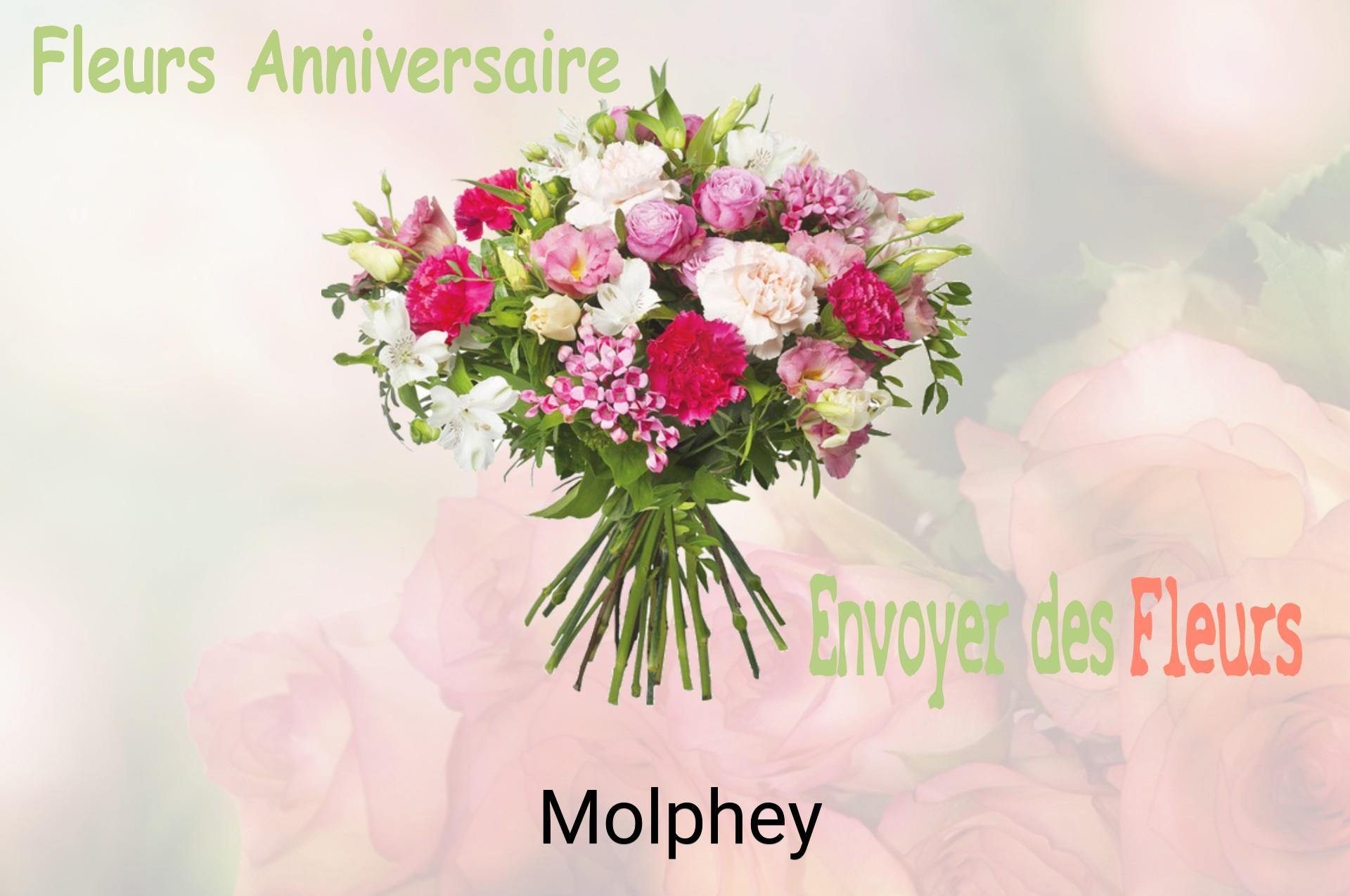 Bouquet de fleurs d’anniversaire livré à Molphey
