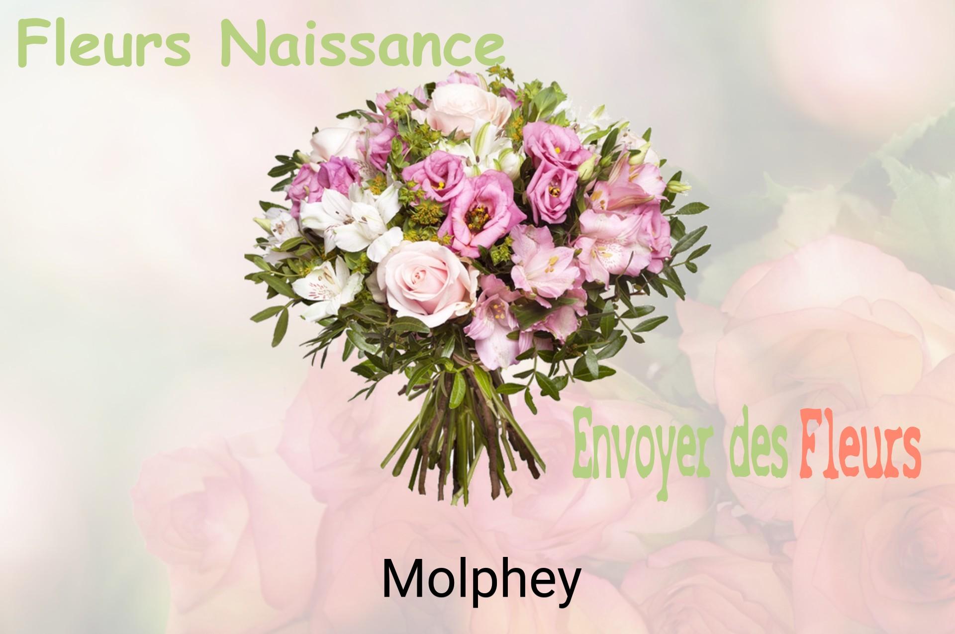 Bouquet de fleurs de naissance livré à Molphey