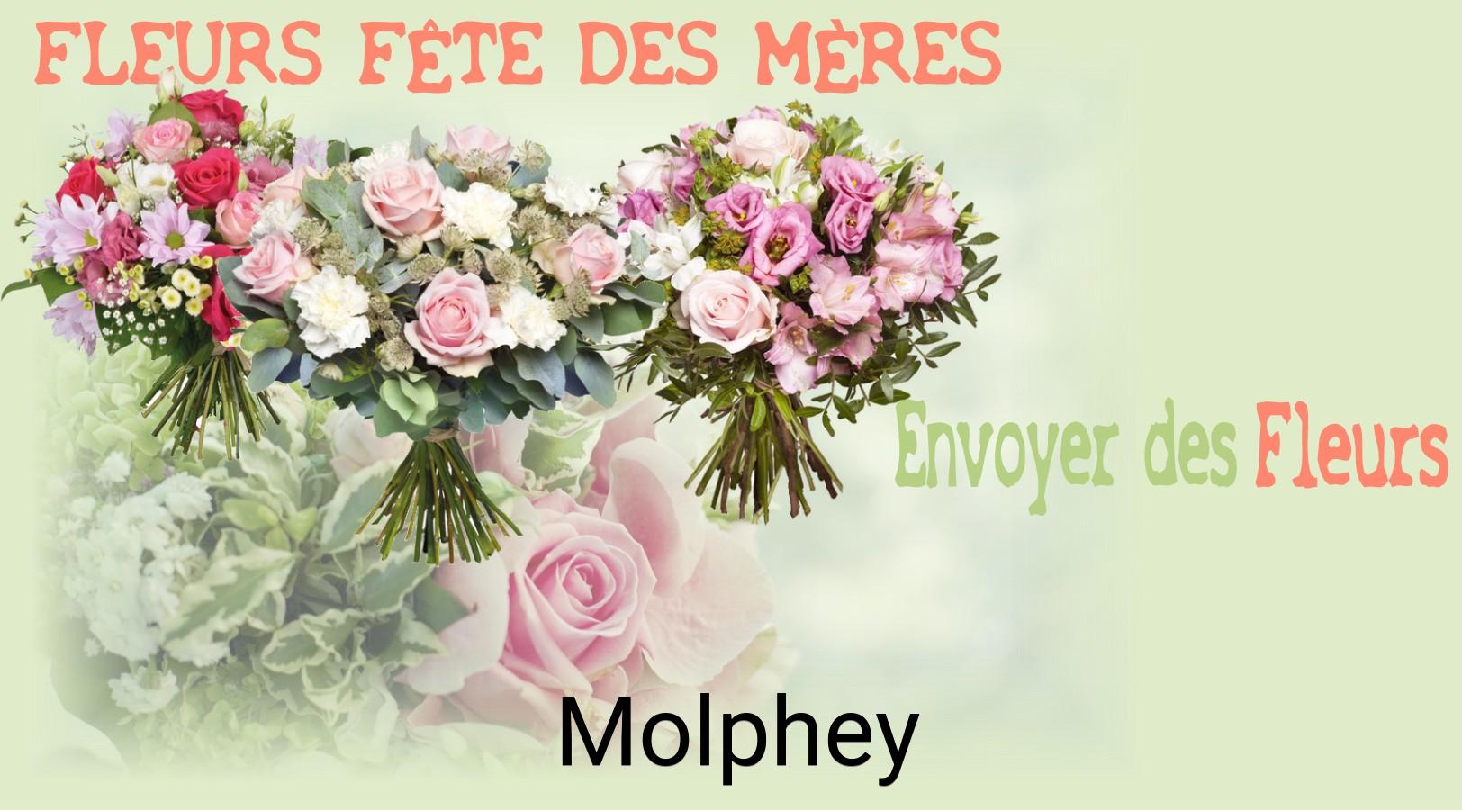 Bouquet de Fête des Mères livré à Molphey